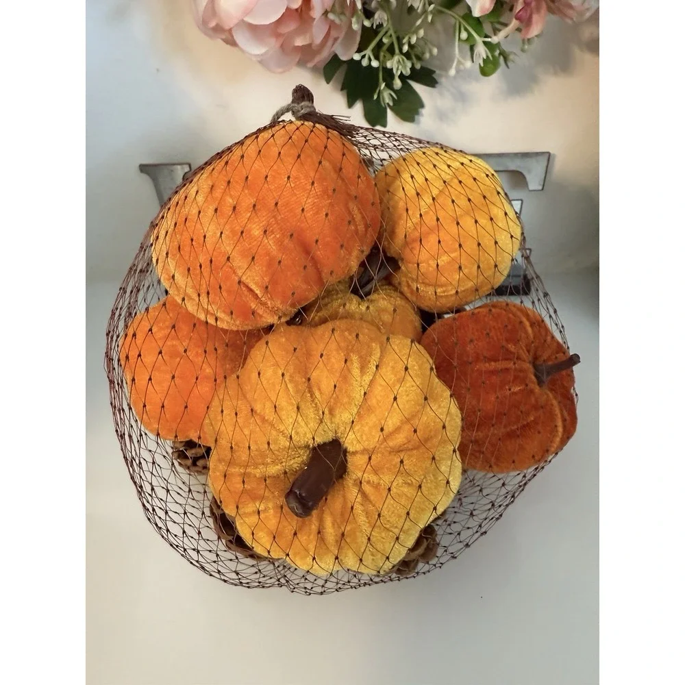 Fall 16 Pcs Velvet Pumpkin and Pinecones Net Bag Decoration Set Assort Sizes New